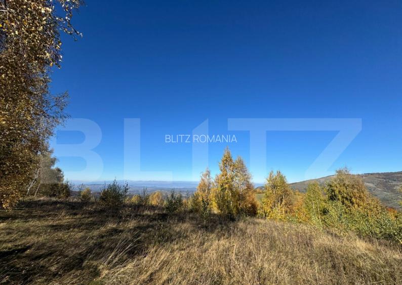 Teren extravilan de 17.183 mp in Tarsa