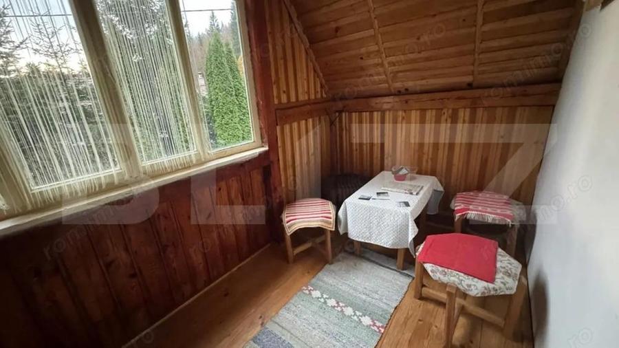 VAND CASA DE VACANTA LA COLIBITA, CU VEDERE SPRE LAC - 16