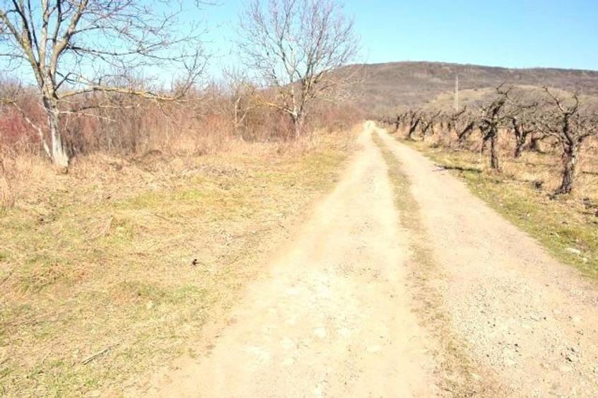 Via Solarino, 3 km de oras! Vanzare Teren Intravilan 1000 mp in Viforata. - 4