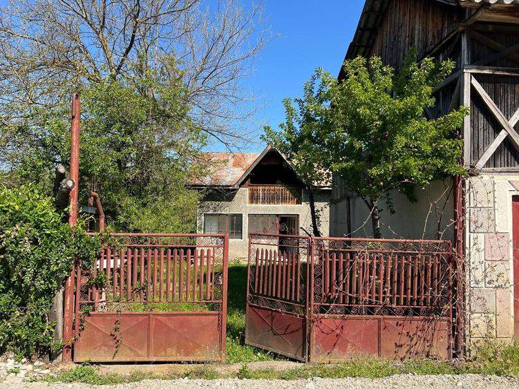 Casa de vanzare in comuna Dobroteasa - 1