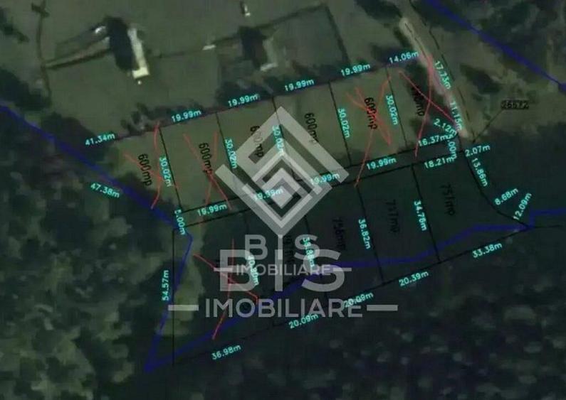 Teren intravilan parcelabil- Colibi?a, investitie - 1