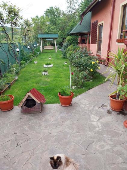 Proprietar vand vila la munte - 7