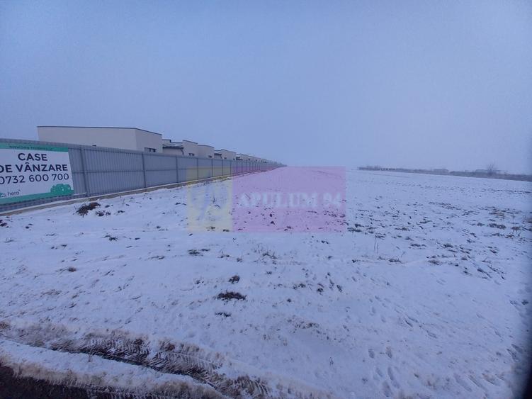 Teren Domnesti de vanzare - 4