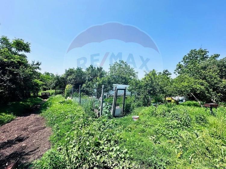 Teren 1537mp cu Livada si Iesire la Lac in Niculesti-Dambovita - 7