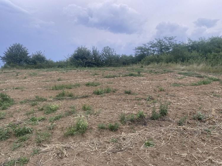 Teren watman 1500 m2 - 4