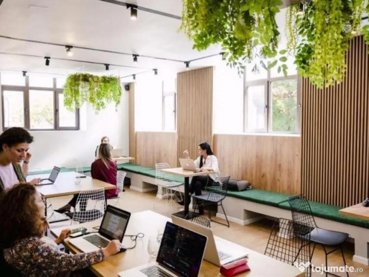 Calea Victoriei I Vila Monument Istoric I Consolidata si Ren - 8