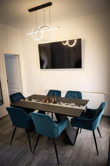 Casa P+1 curte și alee de acces private