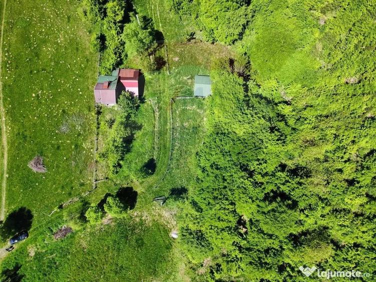 Comision 0%! Proprietate in natura, priveliste superba, S... - 3