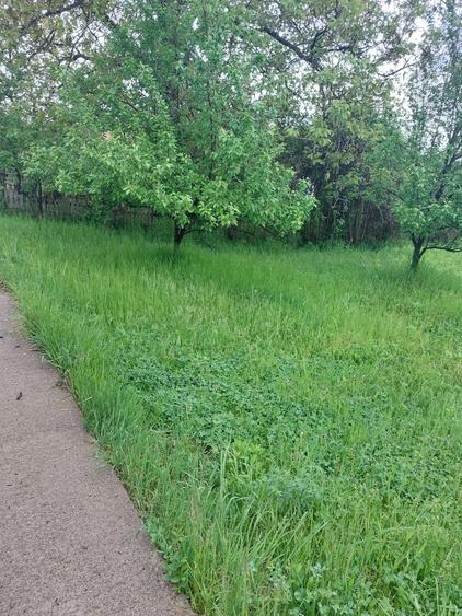 Teren Construcții intravilan de 5265 mp, în Teișani