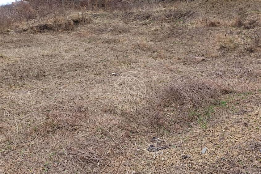 Teren intravilan 550 mp cu utilitati-ideal casa-Zona Valea Rusului - 2