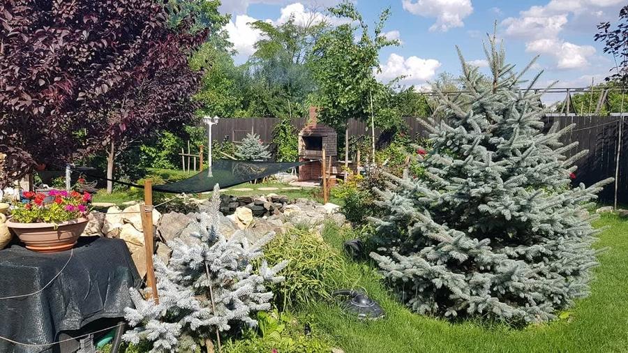 Varasti: Vila individuala cu o curte de 1000 mp ! - 14