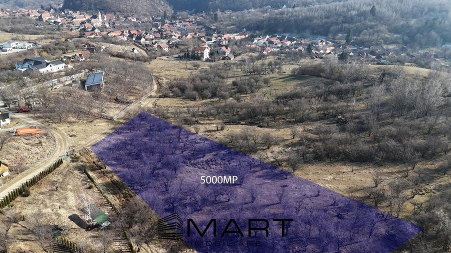 Teren intravilan 5000mp cu PUZ aprobat, CU si utilitati in Cisnadioara - 1