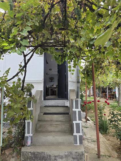 Casa deosebita renovata recent, teren 3698 mp - 8