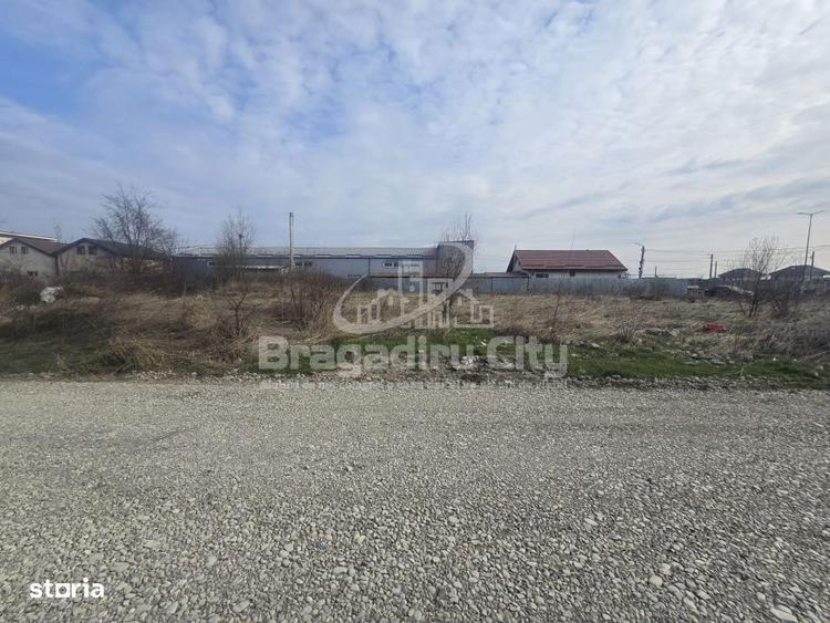 Teren str Topaz 1000mp - 5