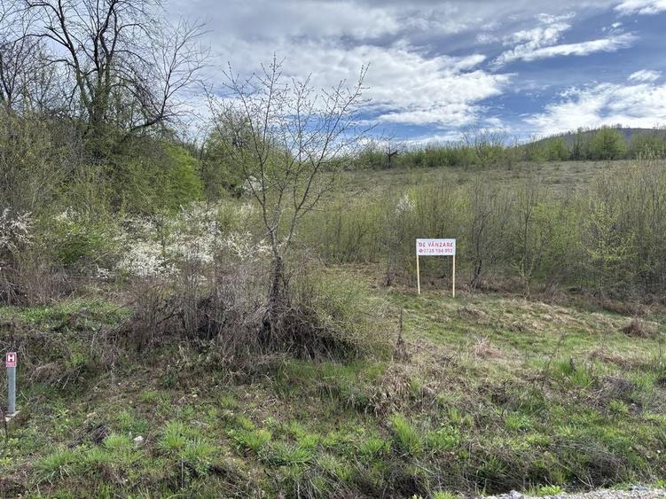 Teren intravilan de vanzare in localitatea Eselnita, strada Salcamilor - 7