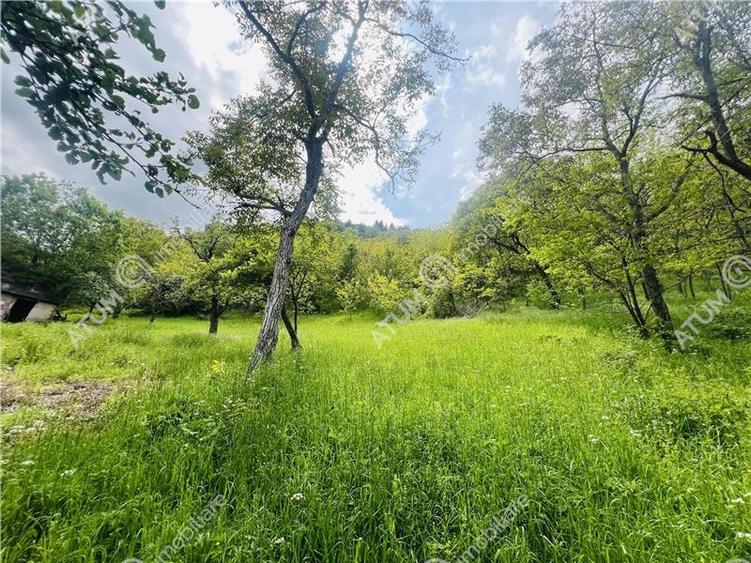 Teren intravilan de 1811 mp situat in Sibiel judetul Sibiu - 8