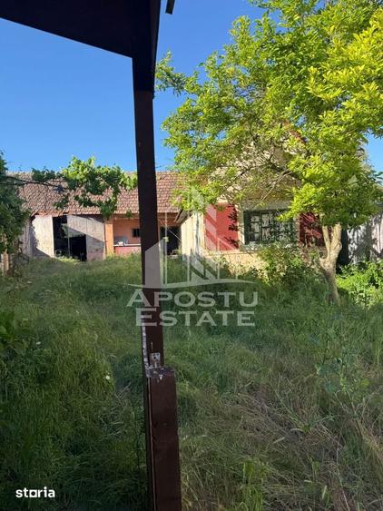 Casa de caramida in Sustra ,Topolovatul Mare cu teren de 1522 mp. - 8