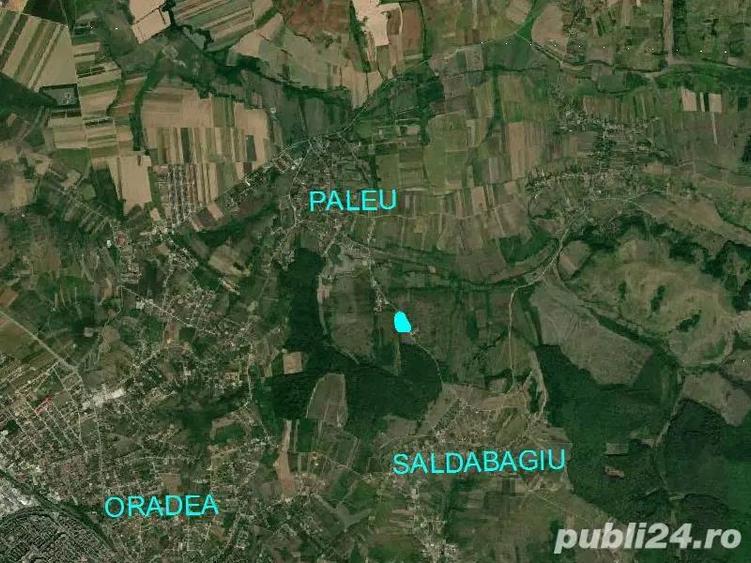 Teren intravilan 5340 mp triplu frontstradal cu asfalt intravilan Paleu - 5