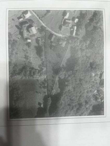 Teren, casa si anexe de vanzare, Viseu de Jos - 3