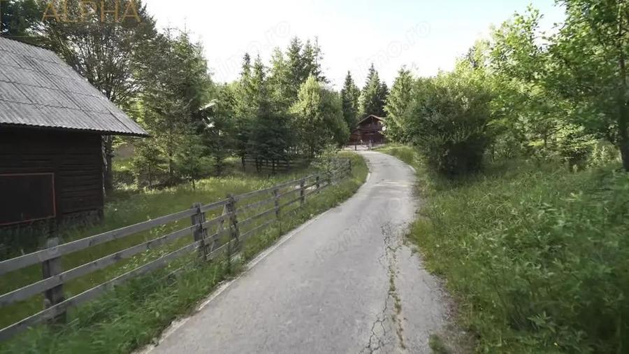 Teren Intravilan de 1.7 Hectare in Colibita - 7