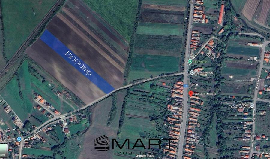 Teren Extravilan 15.000 mp Prejmer - 5