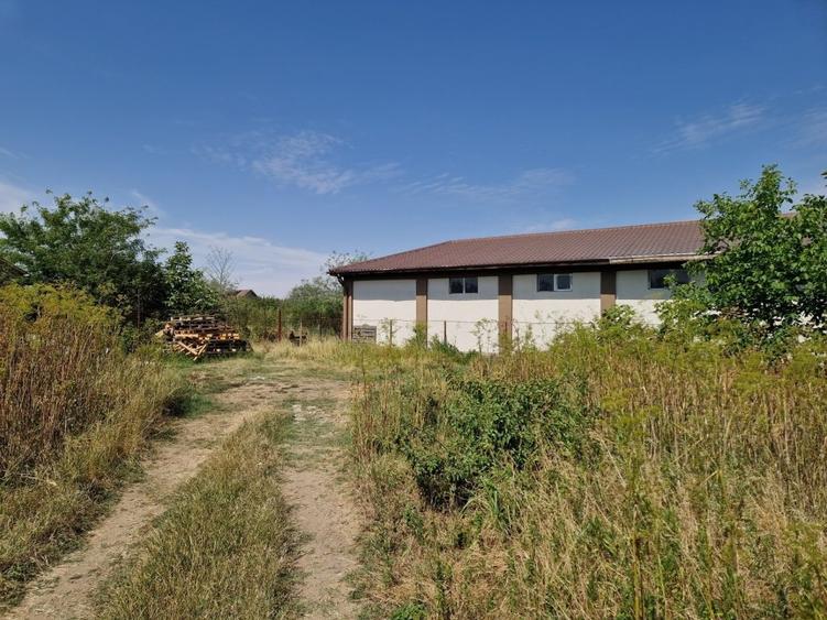 Domnesti - Ciutaci, vanzare 4 loturi de teren intravilan - 16