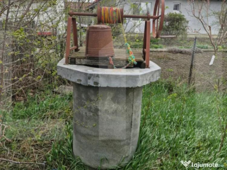 Casa batraneasca cu 2700mp teren intravilan - Broscauti - 2