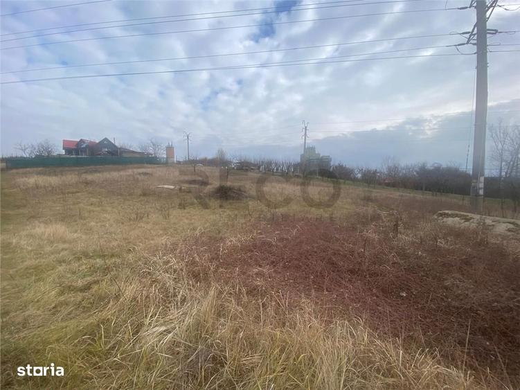 RECO teren Marghita - 1