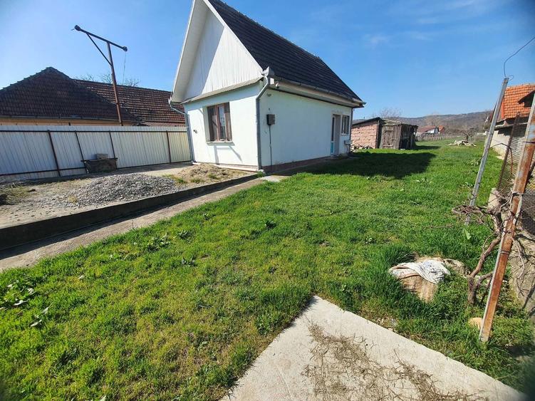 Casuta cu teren mare in Fughiu - 5