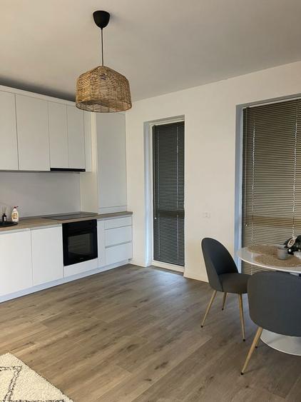Apartament cu o camera de inchiriat - Calea Motilor - 5