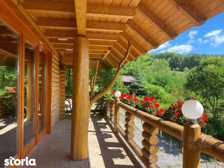 Domeniu exclusivist 17.000 mp | Vila luxury cu piscina & SPA Carbu - 15