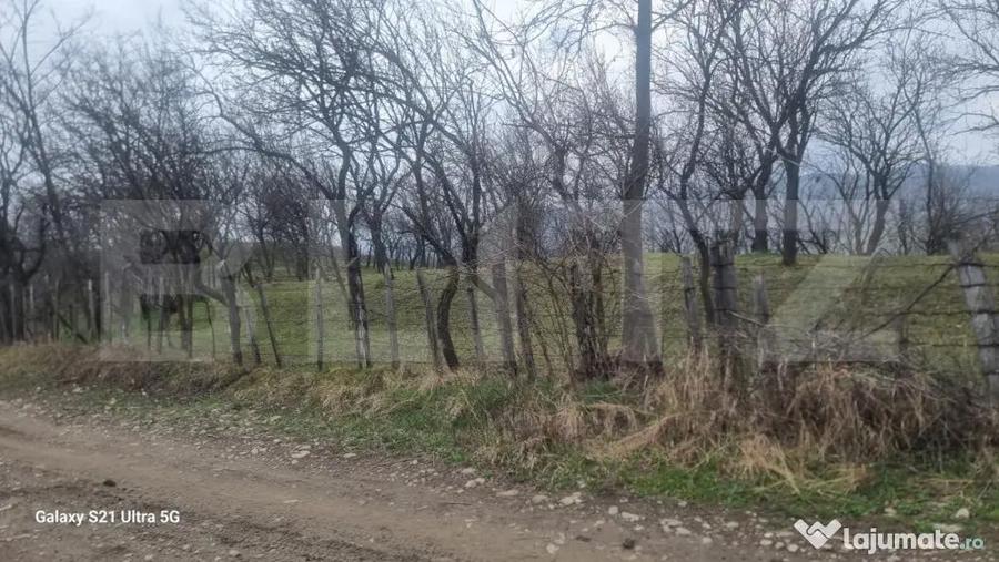 TEREN INTRAVILAN VEDERE PANORAMICA La 2 km de Manastirea CRA - 13