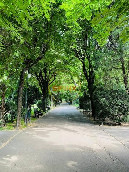 Parc Cismigiu, vanzare apartament 4 camere in vila interbelica - 21