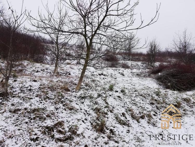 Teren intravilan de vanzare in zona Gheorghe Doja-Oradea - 3