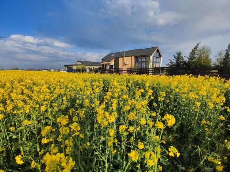 2x Intravilane la marginea Pădurii, zonă Superbă și Liniștită, sat Cultural - 1