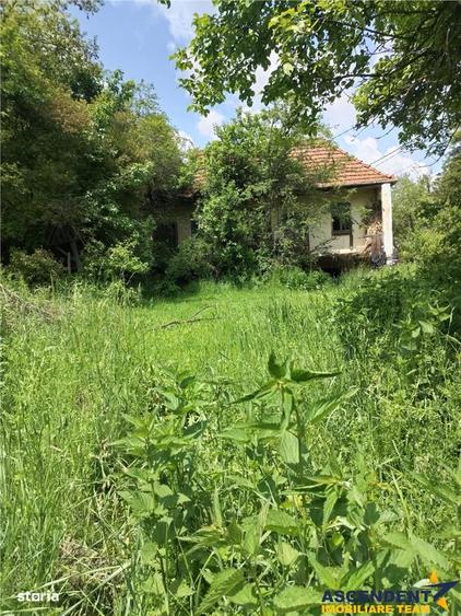 Domeniu verde autentic, +5.000mp, front la DJ, Valcele, Brasov -- Cov - 10