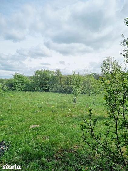 Casa cu teren 1439 mp de vanzare in Gurbediu, Bihor - 7