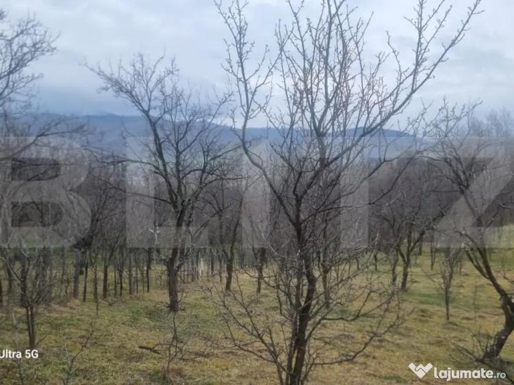 TEREN INTRAVILAN VEDERE PANORAMICA La 2 km de Manastirea CRA - 3