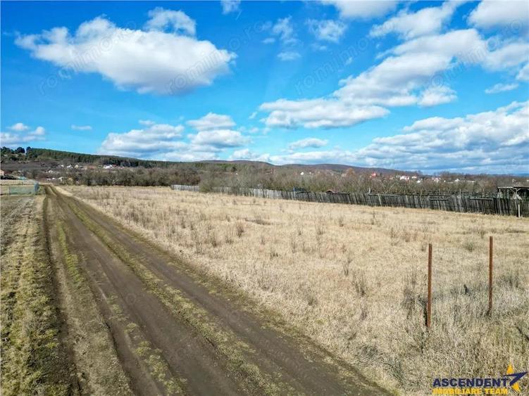 FILM! Liniste si aer curat in proximitatea Municipiului Sfantu Gheorghe - 1