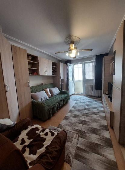 Apartament 2 camere Pantelimon Vedere Lac Dobroiesti - 3