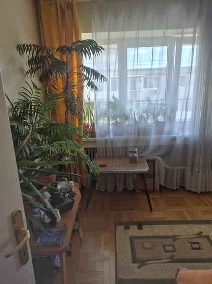 3Camere Ion Mihalache - 4
