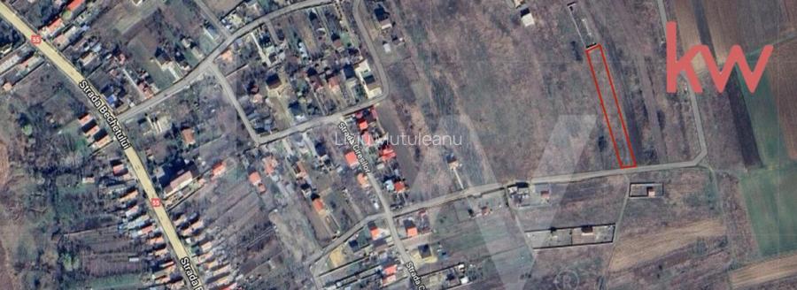 Teren intravilan de vanzare Malu Mare Teren intravilan de vanzare Malu Mare