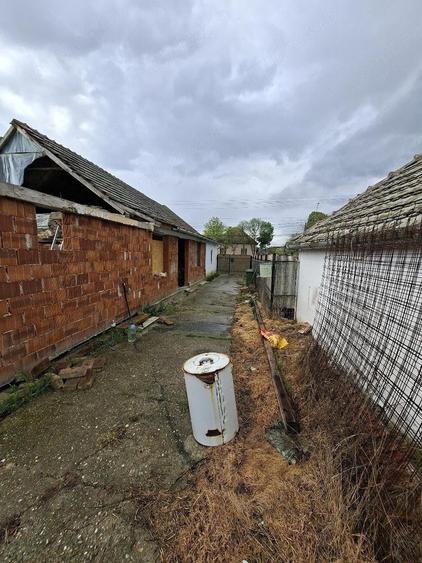 vand casa in cenad pe principala - 3