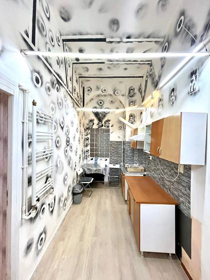 Studio generos Calea Victoriei 50mp + Boxa - 6