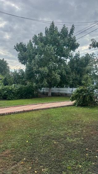 Casa cu pod mansardabil, 20 km de Delta Dunarii - 2