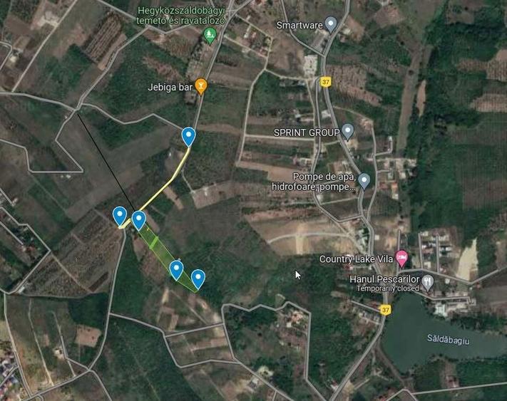 Teren 1 ha terasat, la Saldabagiu de Munte - 1