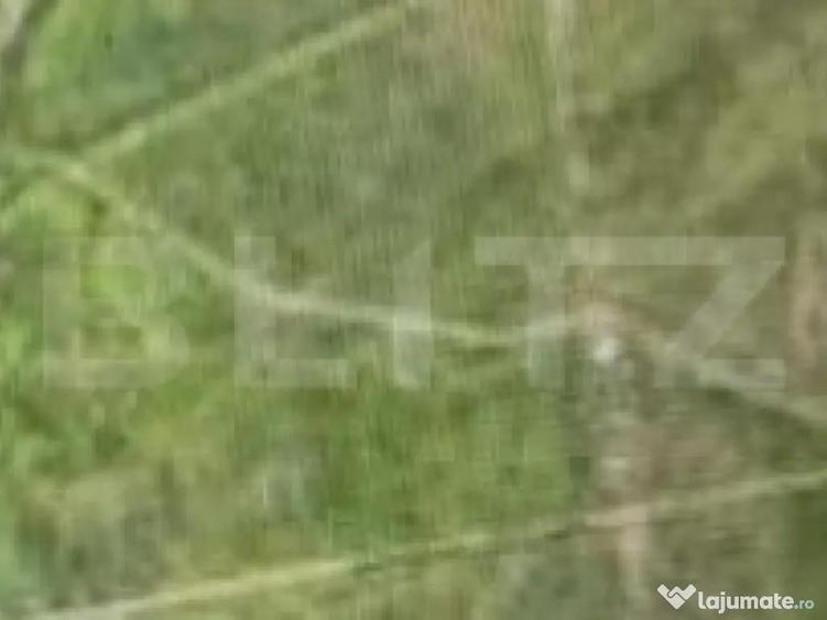 Teren 9400 mp, Schitu-Duca, la DN 24 - 1