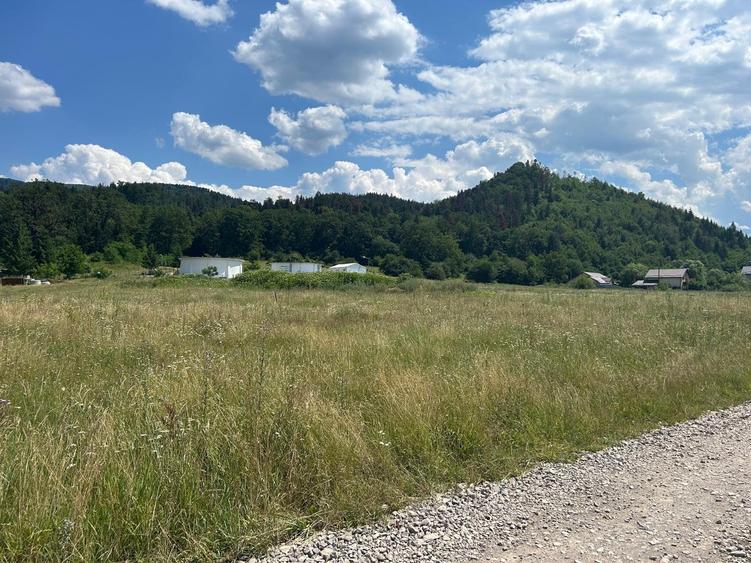 Teren intravilan de vânzare – 1000 mp – Cristian, județul Brașov - 1