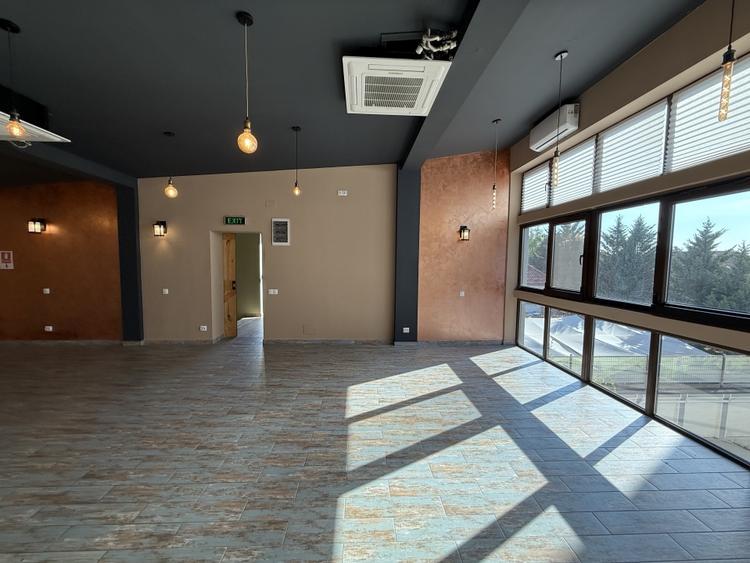 EROU IANCU NICOLAE STRADAL  | VILA IDEALA PENTRU COMERCIAL SAU REZIDENTIAL - 19