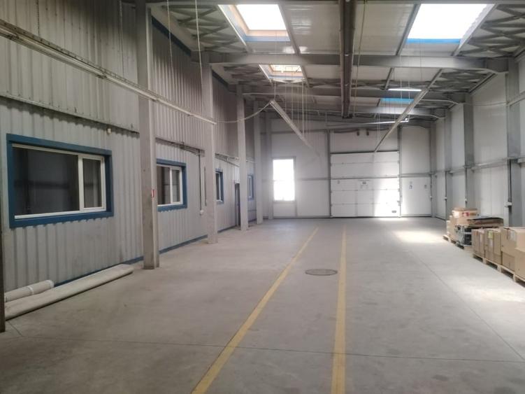 HALA POD INTRARE OTOPENI - 4